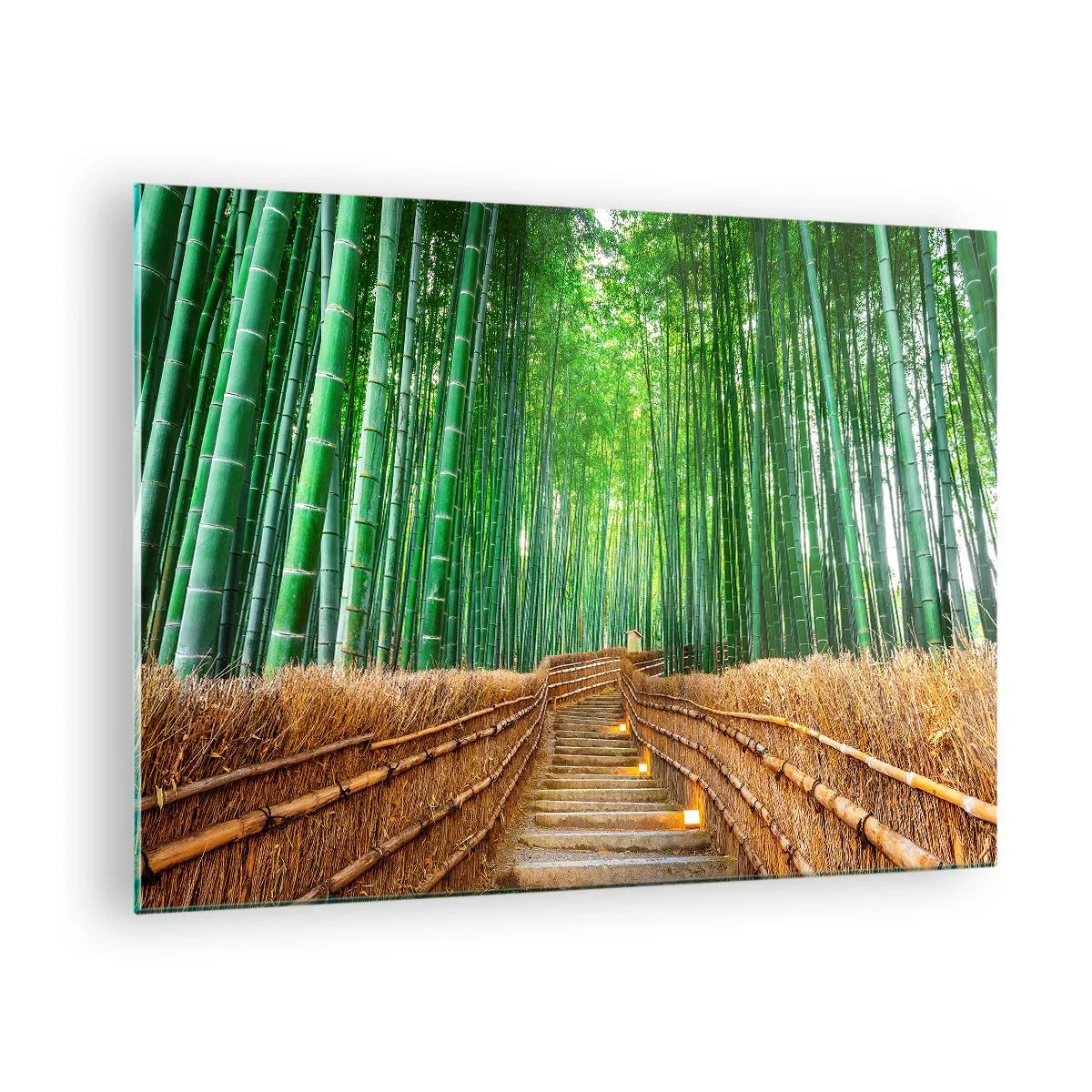 Üveg kép - Egy ösvény a bambuszerdőben, amely a lépcsőn keresztül vezet - 70x50cm - Az ázsiai természet esszenciája - Modern fali dekoráció nappalihoz és hálószobához ARTTOR
