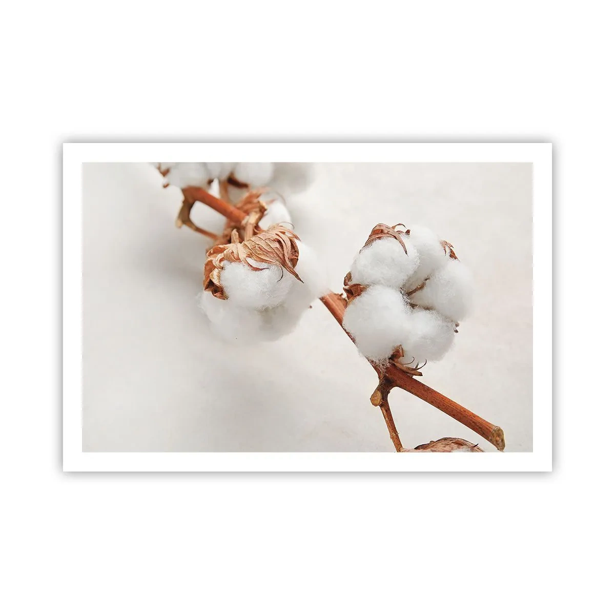 Poszter - Csak ölelkezni - 91x61 cm