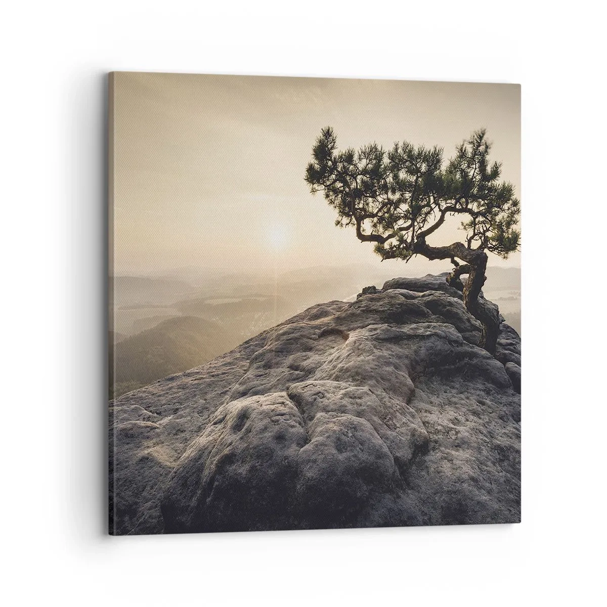 Vászonkép - Az élet mindig győz - 70x70 cm