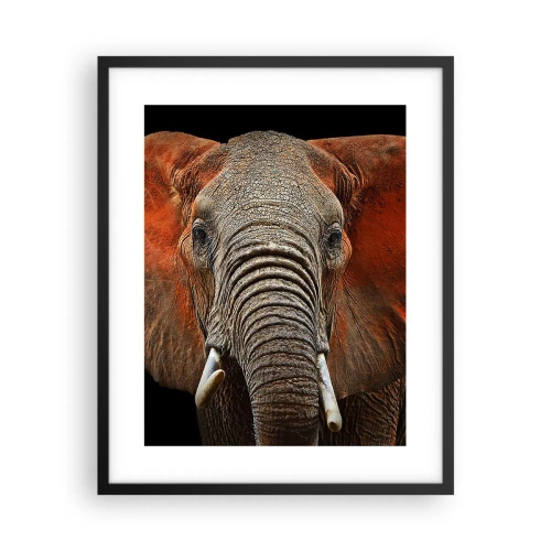 Poszter fehér keretben - Én vad vagyok, és te? - 40x50 cm