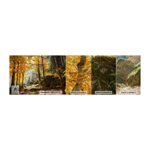 Fotótapéta Minta Premium Canvas - Itt az ideje a pihenésnek - Tájkép, Erdő, Természet - 100x30 cm