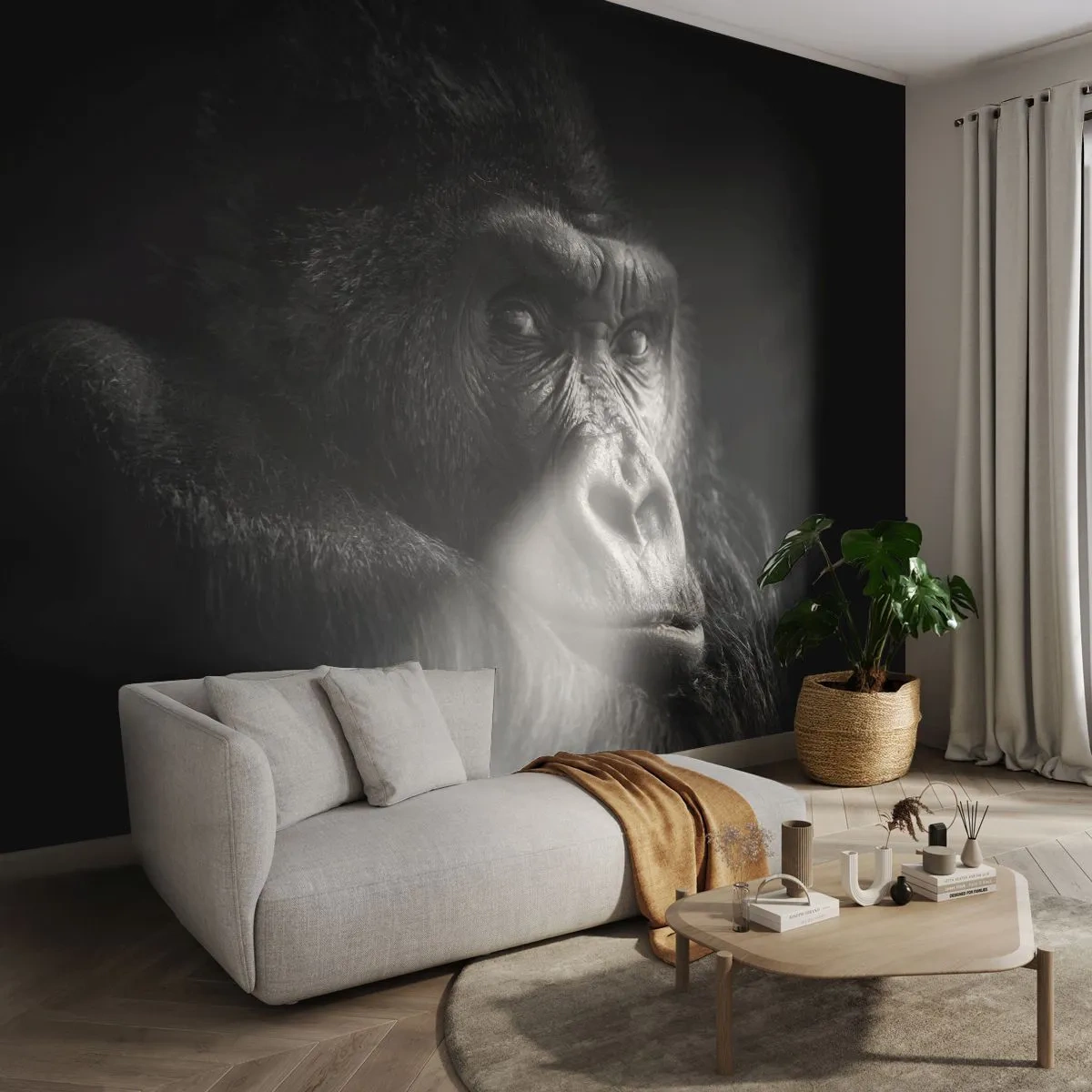 Öntapadós Fotótapéta Deluxe Sticker - Mit bámulsz? - Majom, Gorilla, Állatok - 250x175 cm