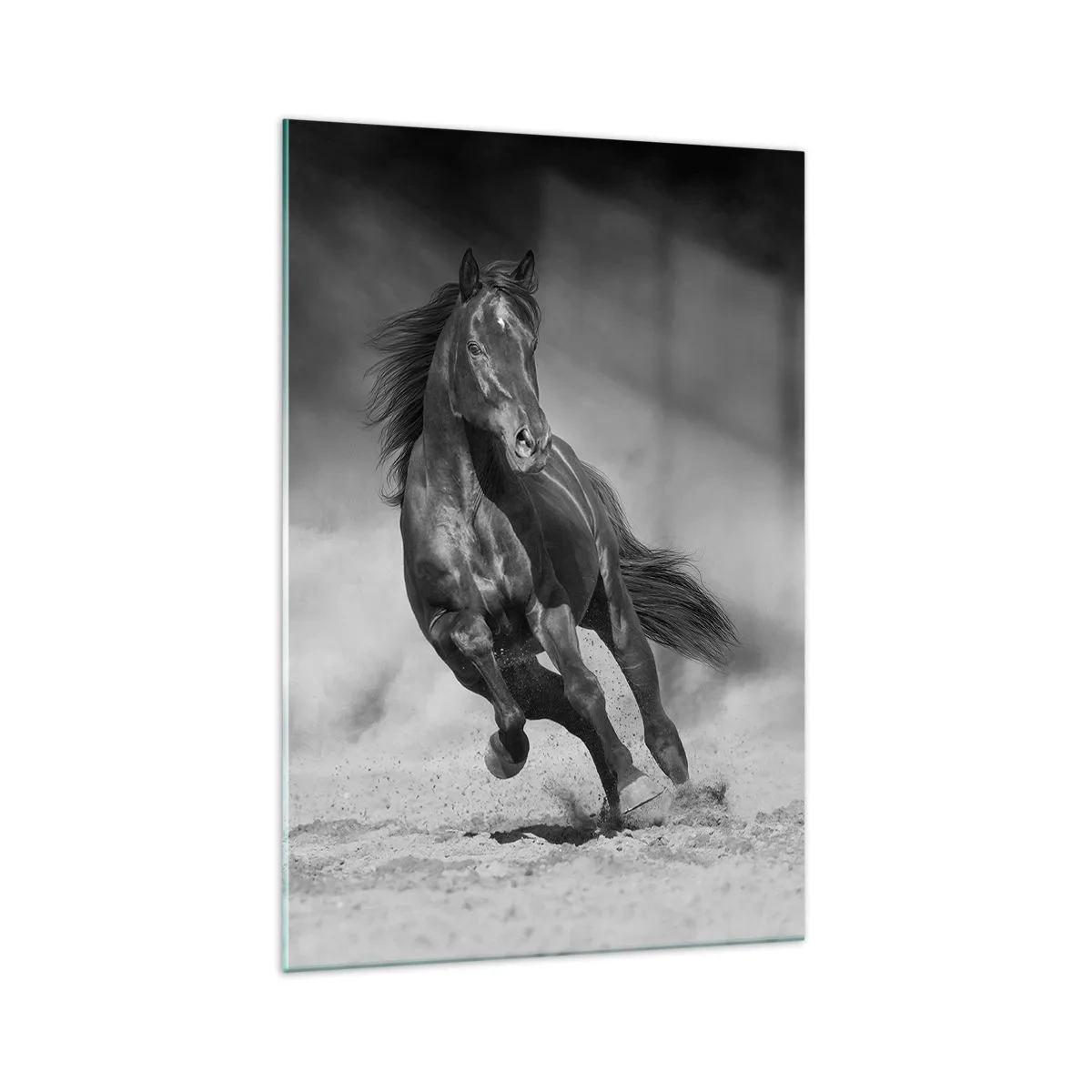 Üveg kép - Az emírhez méltó - 70x100 cm