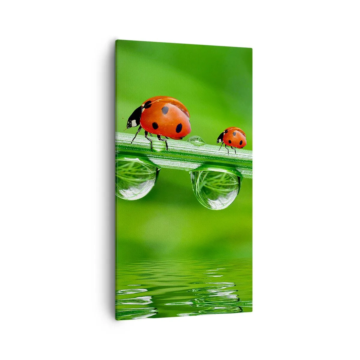 Vászonkép - Egész nyáron az úton - 55x100 cm