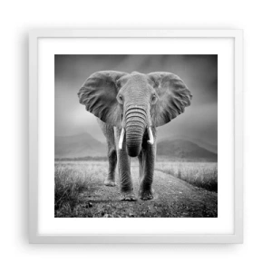 Poszter fekete keretben - A házigazda üdvözli - 40x40 cm