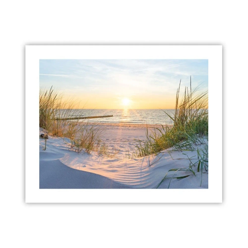 Poszter - A tenger hangja, a madarak éneke, egy vad tengerpart a fű között... - 50x40 cm