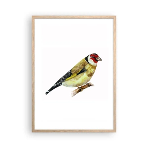 Poszter világos tölgy keretben - Madárportré - 50x70 cm