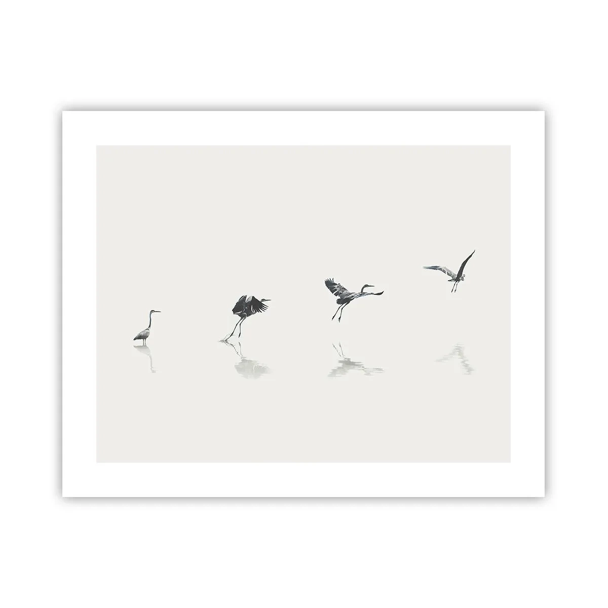 Poszter - Négy egyszerű lépés - 50x40 cm