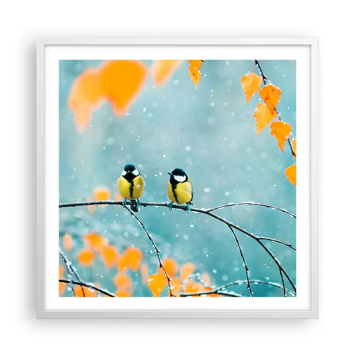Poszter fekete keretben - Madárpletykák - 60x60 cm