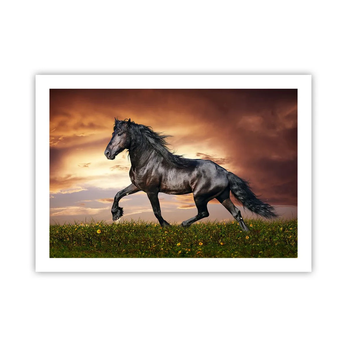 Poszter - Fekete herceg - 70x50 cm