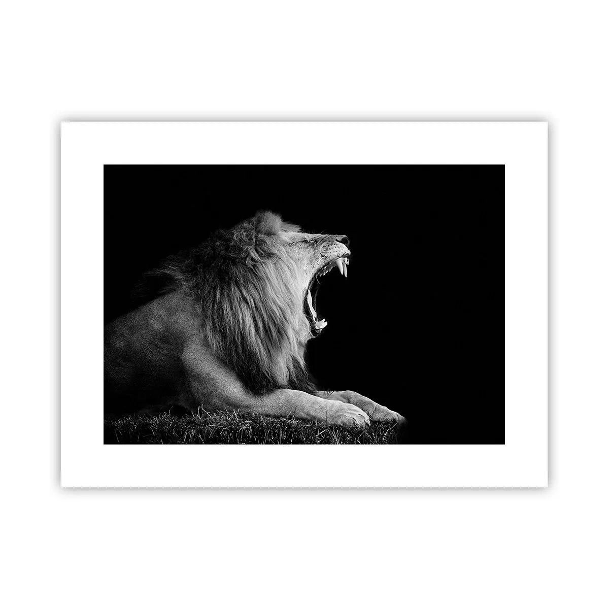 Poszter - Kétség nélkül - 40x30 cm