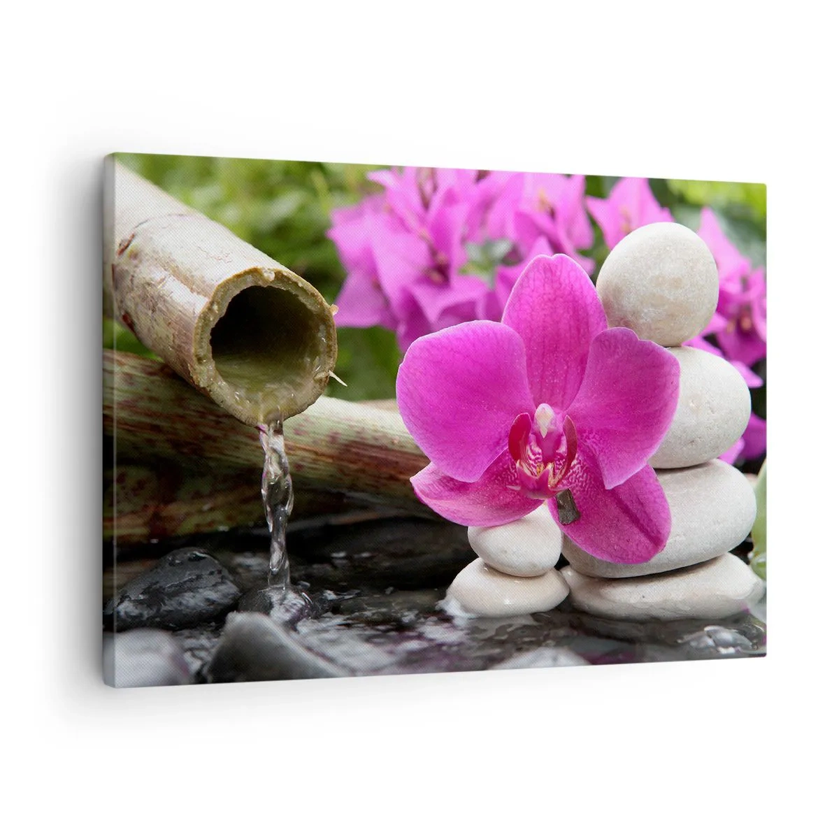 Vászonkép - Lila orchidea, kövek és bambusz vízzel, pihentető környezetben - 70x50cm - Már pihensz - Modern fali dekoráció nappalihoz és hálószobához ARTTOR