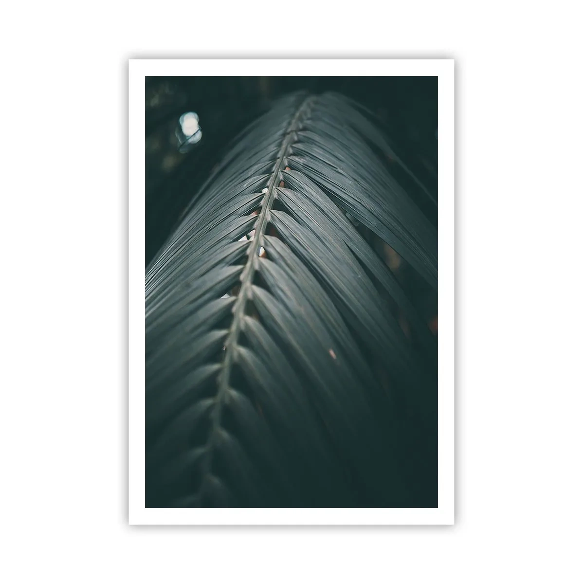 Poszter - A természet pontossága - 70x100 cm