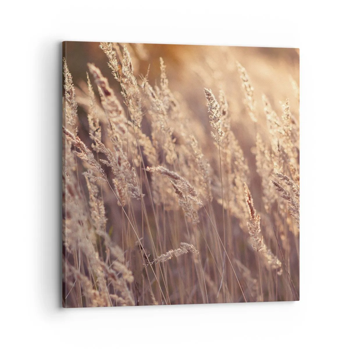 Vászonkép - Készen az ősz fogadására - 70x70 cm