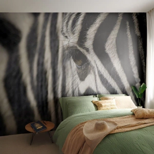 Fotótapéta Standard Eco - Csíkos portré - Állatok, Borda, Afrika - 350x256 cm