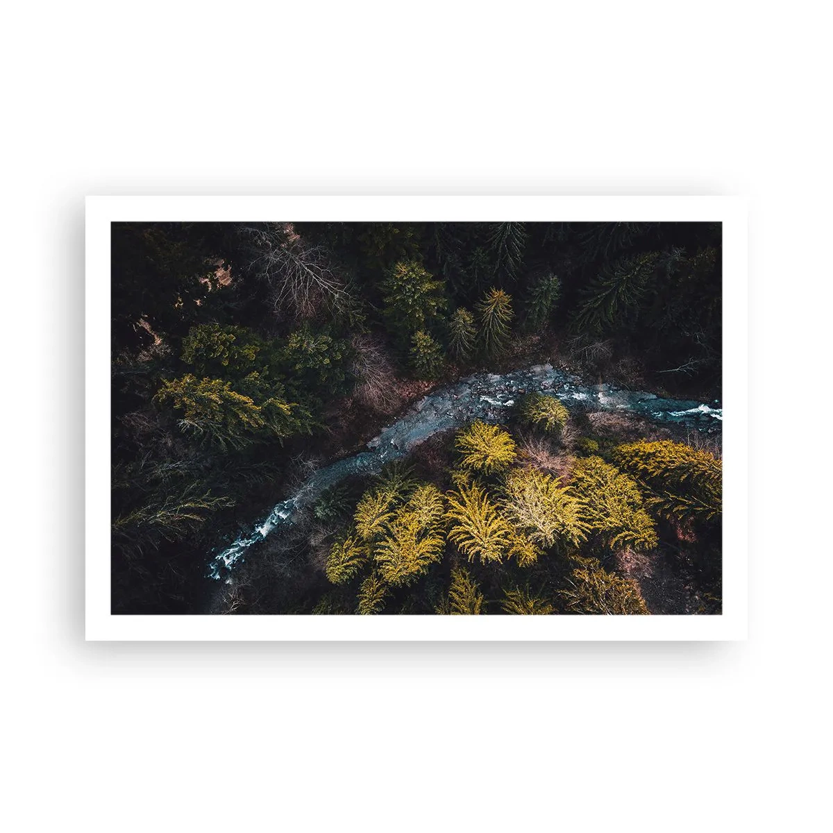 Poszter - Gyorsan, egyre gyorsabban - 91x61 cm