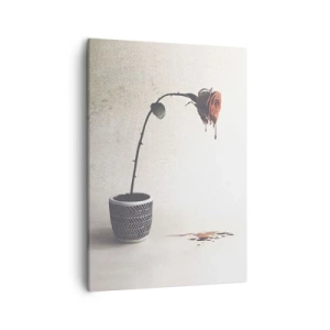 Vászonkép - Rosa dolorosa - 50x70 cm