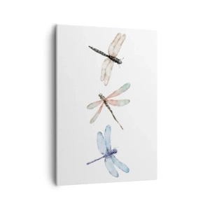 Vászonkép - Súlytalan szitakötők - 50x70 cm