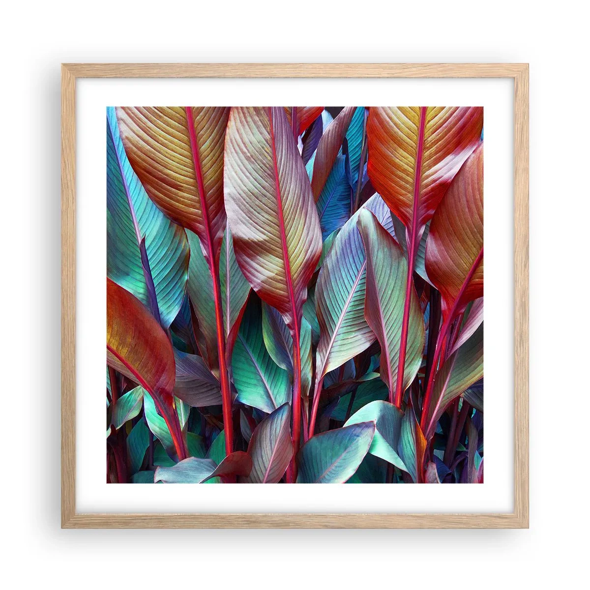 Poszter világos tölgy keretben - Egy színes sűrű - 50x50 cm