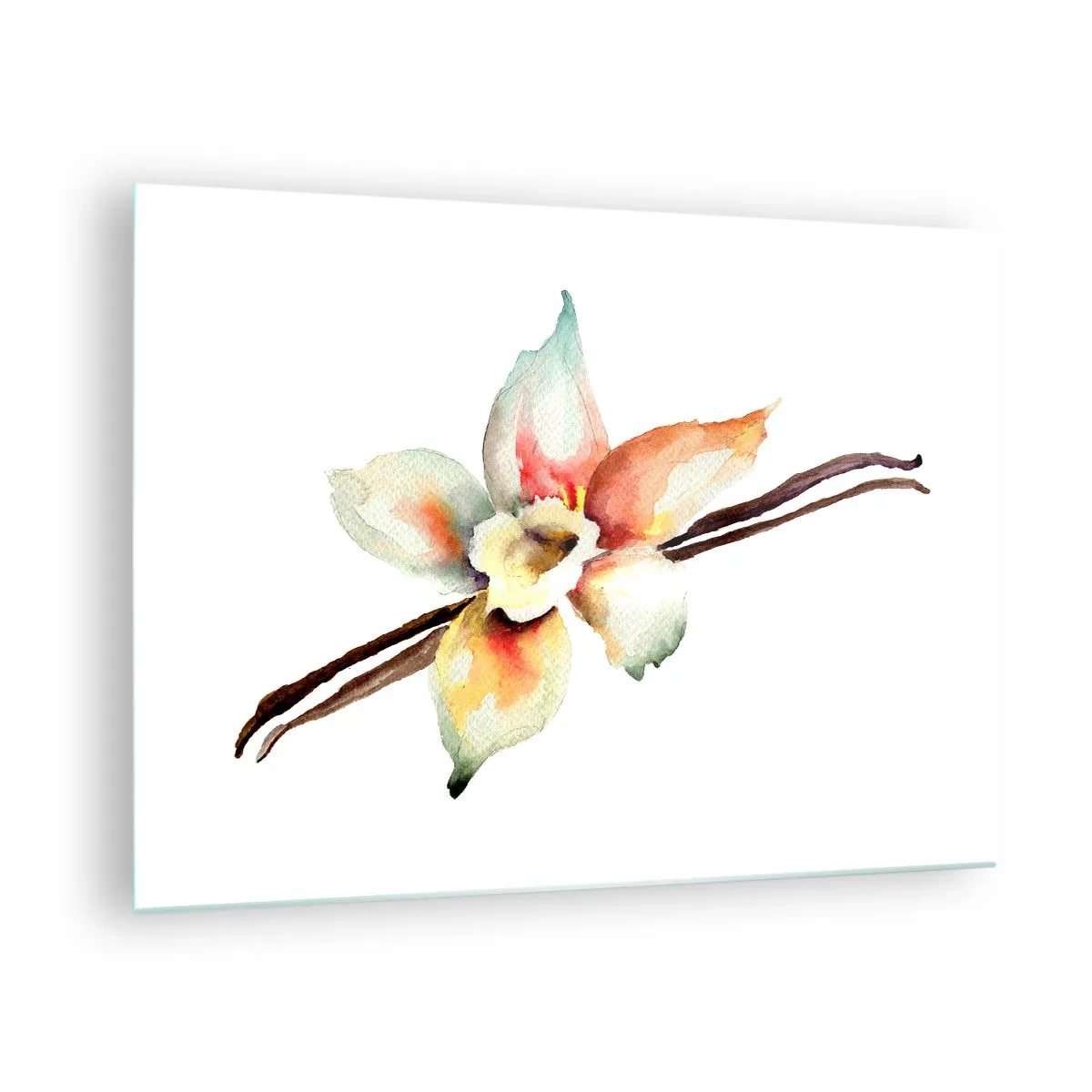 Üveg kép - Akvarell illusztráció egy vanília virágról fehér alapon - 70x50cm - Festékkel kiöntött édesség - Modern fali dekoráció nappalihoz és hálószobához ARTTOR