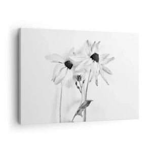 Vászonkép - Fekete-fehér virágok finom kompozícióval - 70x50cm - Senki sem akar egyedül lenni - Modern fali dekoráció nappalihoz és hálószobához ARTTOR