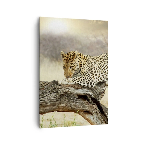 Vászonkép - A magam útjait járom - 70x100 cm