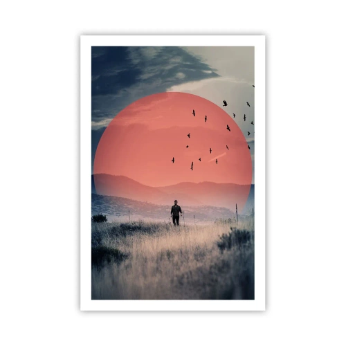 Poszter - Elemében - 61x91 cm