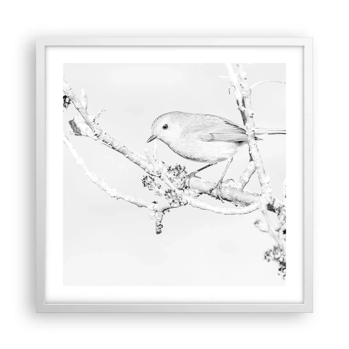 Poszter fekete keretben - Téli reggel - 50x50 cm