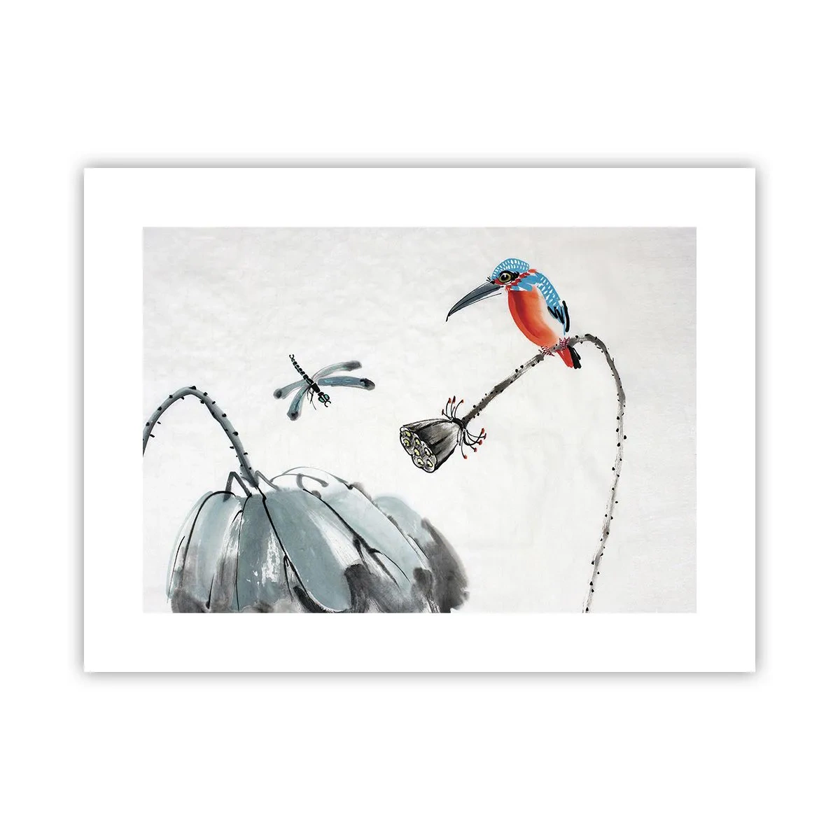 Poszter - A rét élete - 40x30 cm