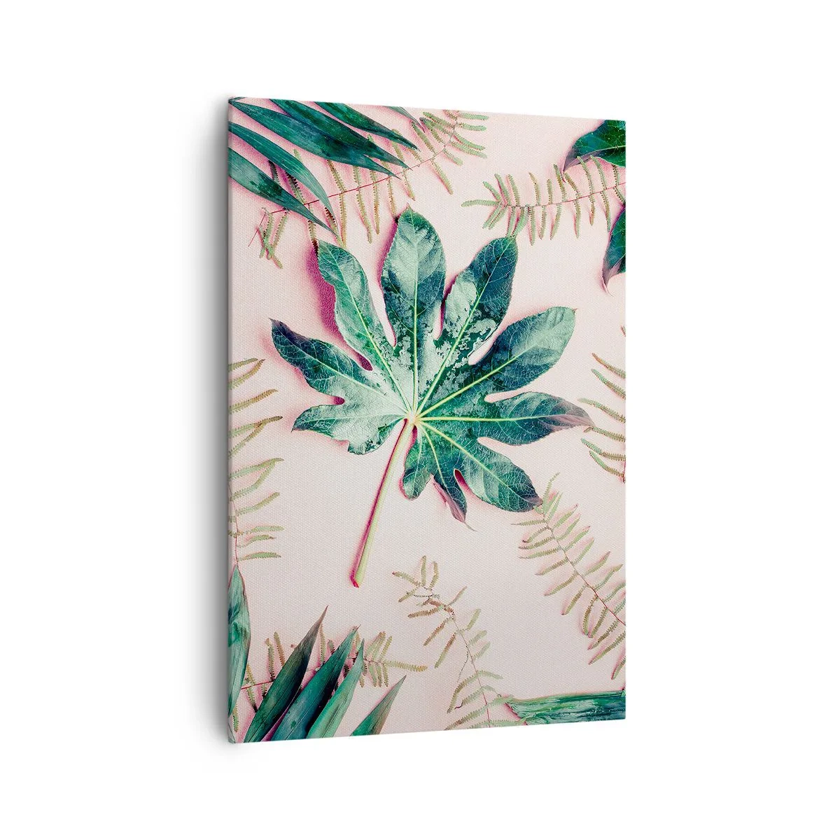 Vászonkép - A zöld tanulmánya a rózsaszín háttérben - 70x100 cm