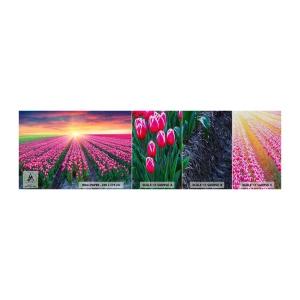 Fotótapéta Minta Premium Sand - Gyönyör farm - Virágok, Tulipánok, Napnyugta - 100x30 cm