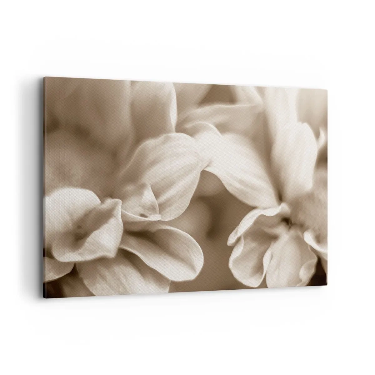 Vászonkép - Gyengéd, mint egy mosoly - 100x70 cm