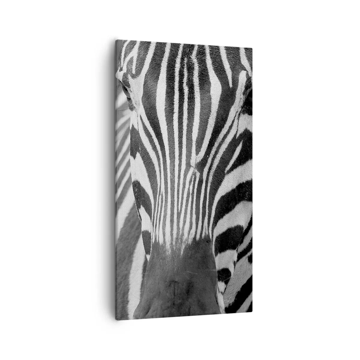 Vászonkép - A világ fekete-fehér - 55x100 cm