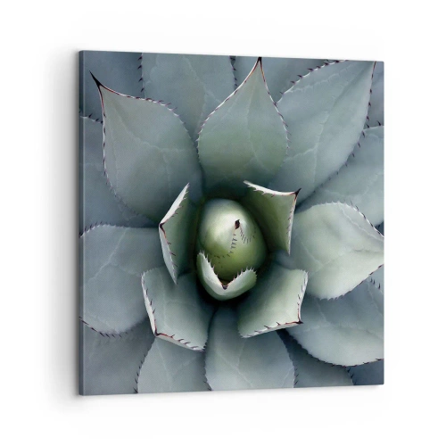 Vászonkép - Wabi és figyelmeztetés - 60x60 cm