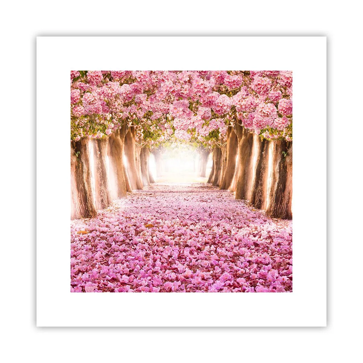 Poszter - Út a paradicsomba - 30x30 cm