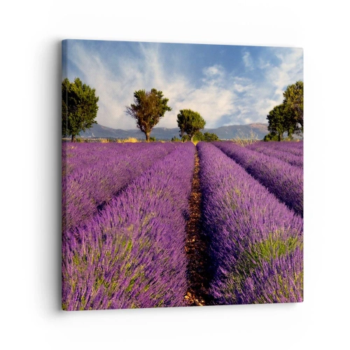 Vászonkép - Levendula mezők - 30x30 cm