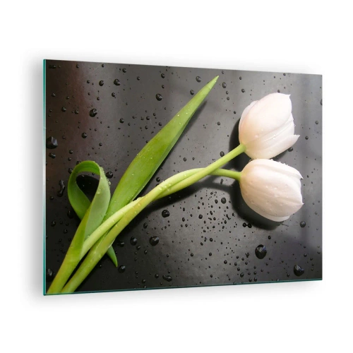Üveg kép - Fehér tulipánok vízcseppekkel a háttérben - 70x50cm - Tavaszi fonódás - Modern fali dekoráció nappalihoz és hálószobához ARTTOR