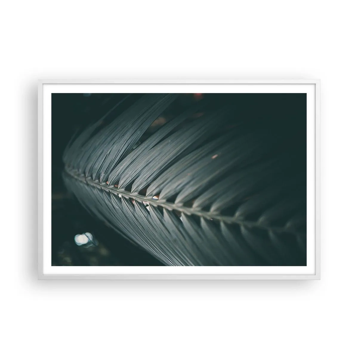 Poszter fekete keretben - A természet pontossága - 100x70 cm