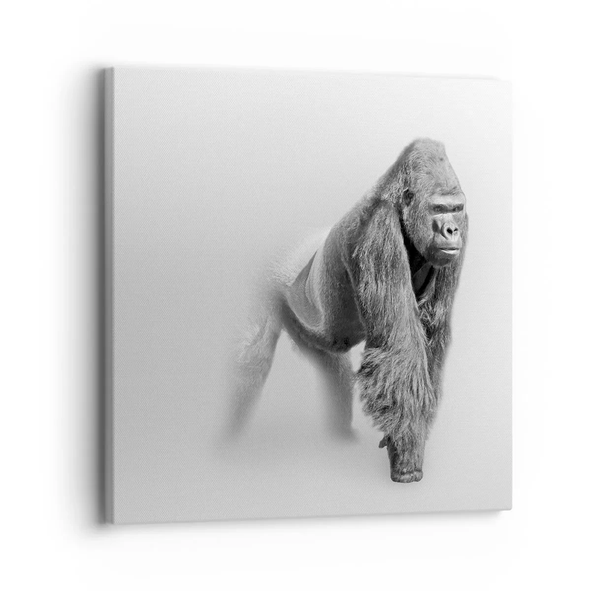 Vászonkép - Magabiztos az erejében - 30x30 cm