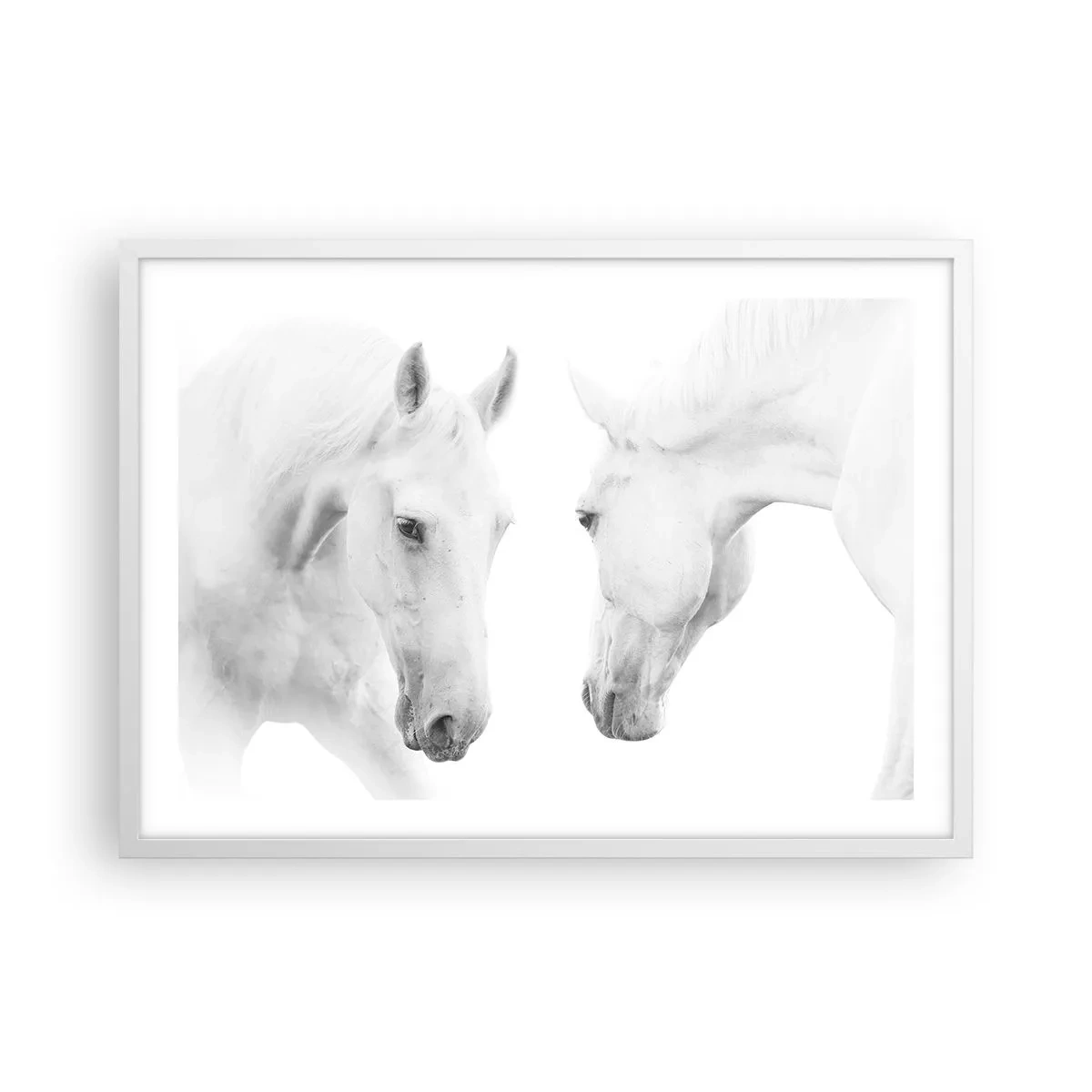 Poszter fekete keretben - Ez a barátság...? - 70x50 cm