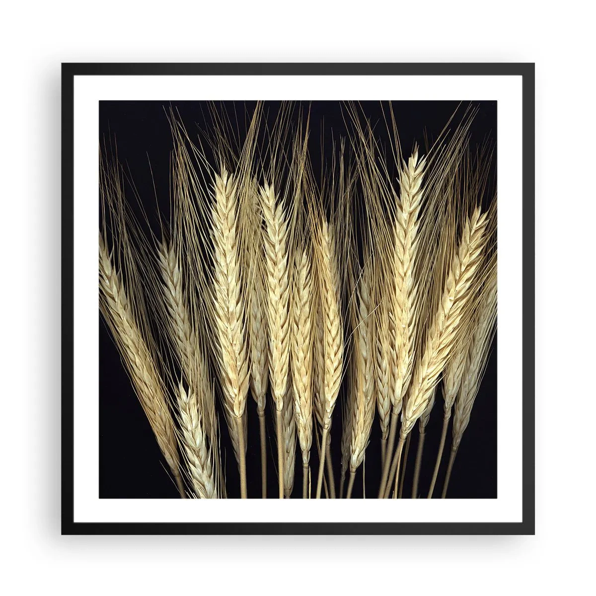 Poszter fehér keretben - Rusztikus varázslat - 60x60 cm