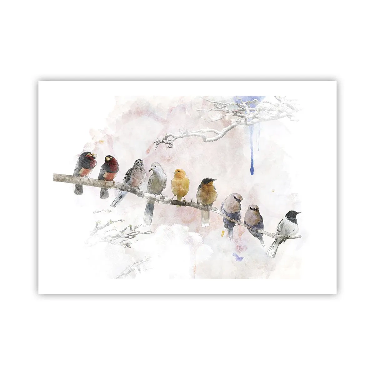 Poszter - Szárnyas találkozó - 70x50 cm