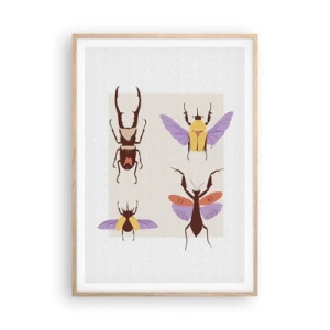 Poszter világos tölgy keretben - A rovarok világa - 70x100 cm