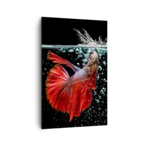 Vászonkép - Három kívánságod van - 80x120 cm