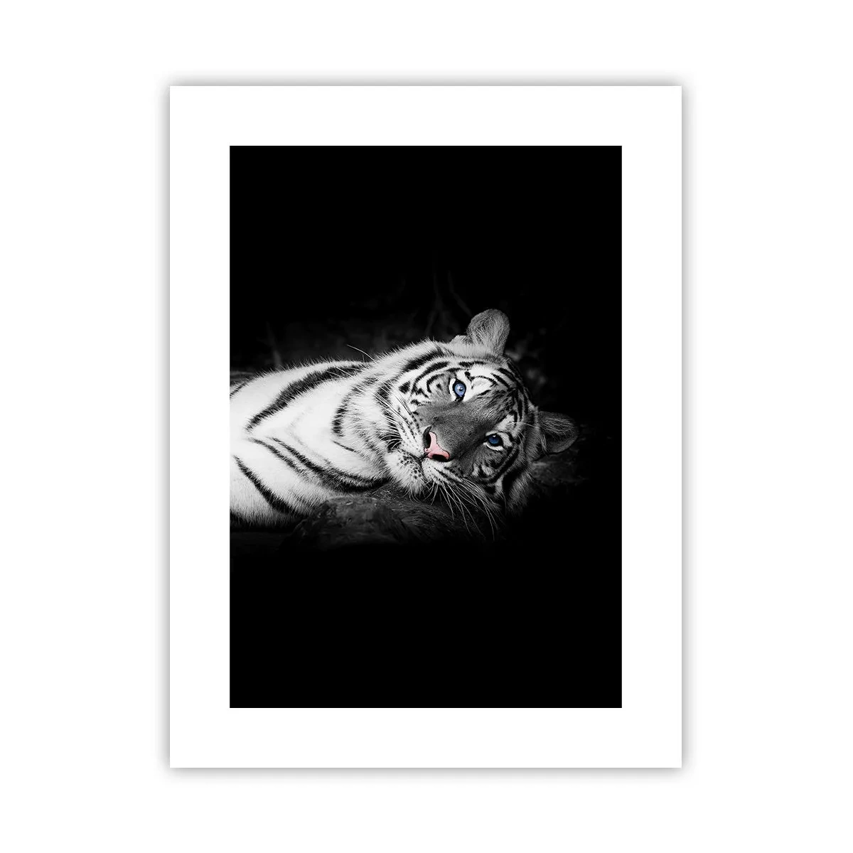 Poszter - Vadság és nyugalom - 30x40 cm