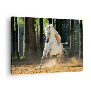 Vászonkép - Egy fehér ló vágtat át egy erdei tisztáson - 70x50cm - Mint egy fantasy regényből - Modern fali dekoráció nappalihoz és hálószobához ARTTOR