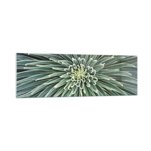 Üveg kép - Csillag születik - 160x50 cm