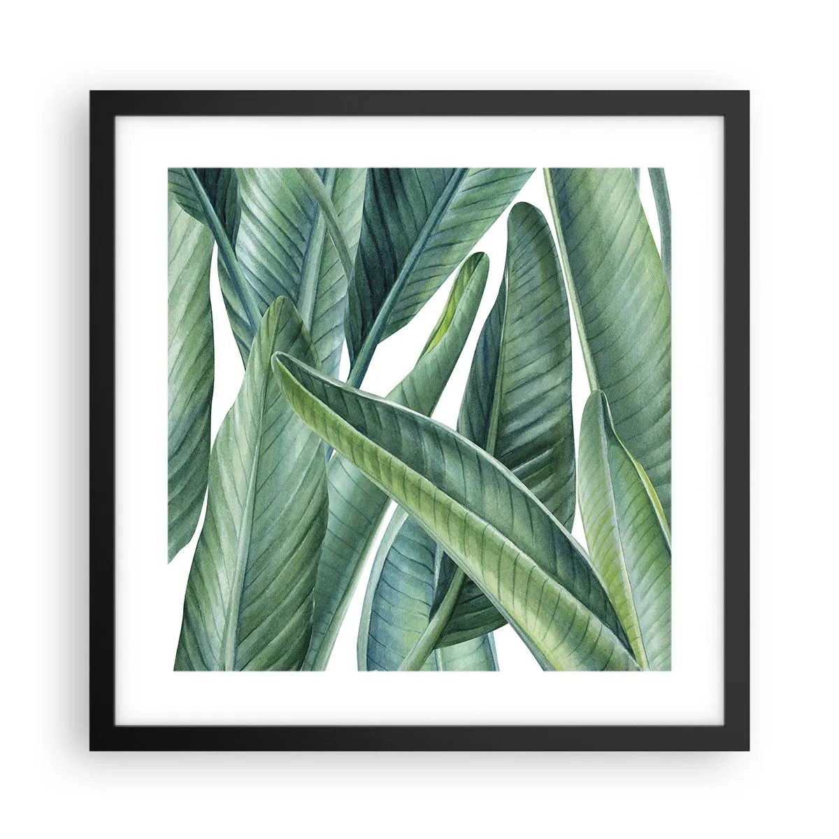 Poszter fehér keretben - Zöld önmagában - 40x40 cm