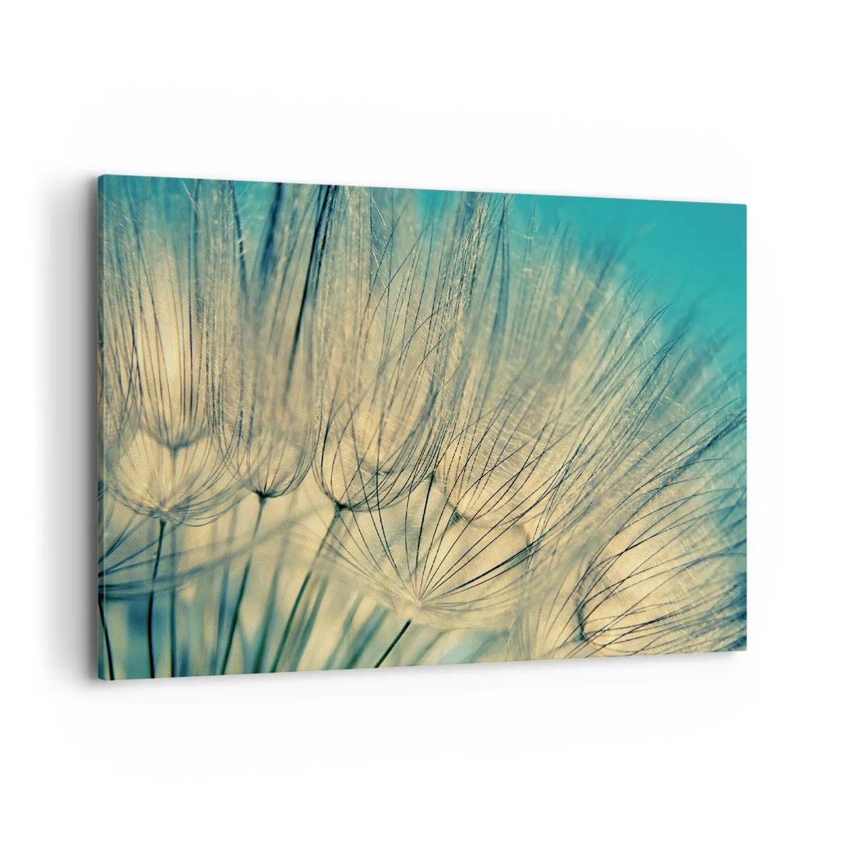 Vászonkép - A szélre várva - 120x80 cm