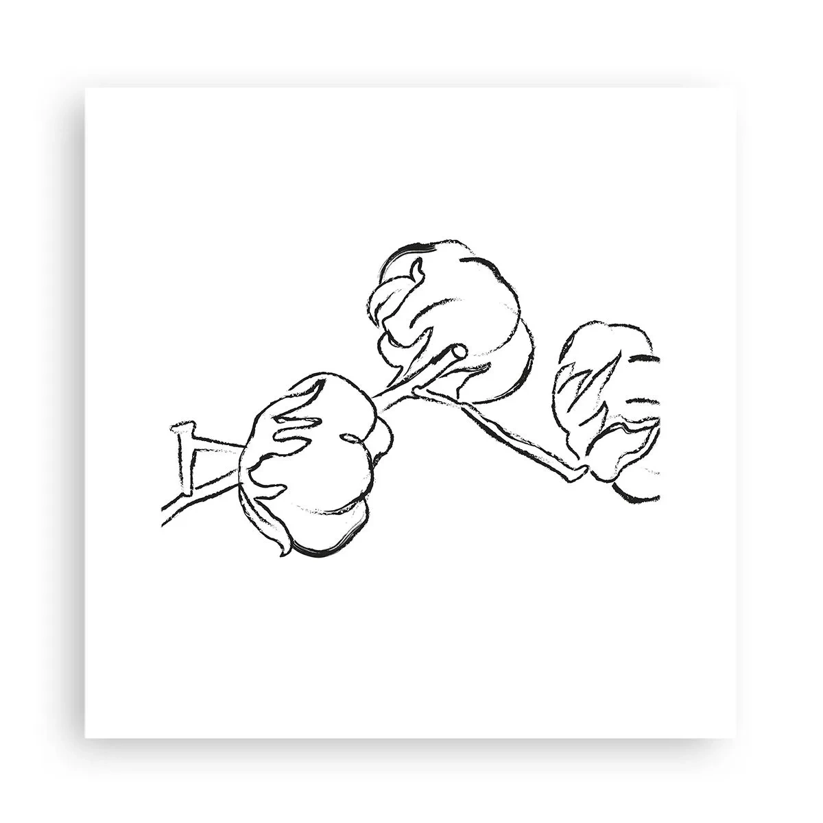 Poszter - Pamut pehely - 30x30 cm